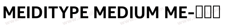 MEIDITYPE MEDIUM ME字体转换